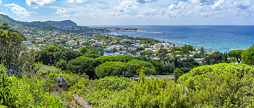 View of tropical flora in Giardini la Mortella Botanical Gardens and Forio in background, Forio, Island of Ischia, Campania, Italy, Europe