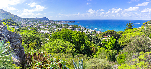 View of tropical flora in Giardini la Mortella Botanical Gardens and Forio in background, Forio, Island of Ischia, Campania, Italy, Europe