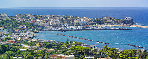 View of Forio from Giardini la Mortella Botanical Gardens, Forio, Island of Ischia, Campania, Italy, Europe