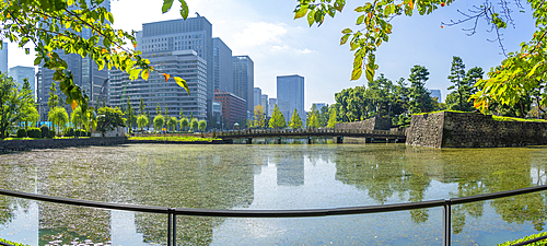 View of reflections in Wadakura Moat on a sunny day, Chiyoda, Tokyo, Honshu, Japan