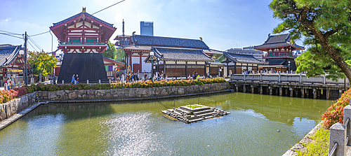 View of Kita-indogane-do and turtles in turtle pond on a sunny day, Shitennoji, Tennoji Ward, Osaka, Honshu, Japan, Asia