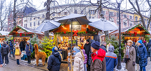 View of Christmas market during winter at dusk, Stortingsparken, Oslo, Norway, Scandinavia, Europe