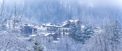 View of frosted trees and chalets in Dolonne during winter, Courmayeur, Aosta Valley, Italy, Europe