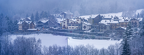 View of frosted trees and chalets in Dolonne during winter, Courmayeur, Aosta Valley, Italy, Europe