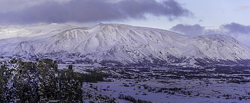 View of continental drift between the North American and Eurasian tectonic plates in Thingvellir National Park during winter, Western Region, Iceland, Europe