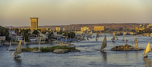 View of fellucas on the Nile river from Feryal Garden during golden hour, Aswan, Nubia, Egypt, North Africa, Africa