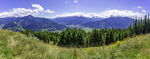 View of flowers, meadows and mountains from Plettsaukopf Reservoir on a sunny day, Bruckberg, Salzburg, Austria, Europe
