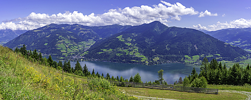View of flowers, meadows and mountains from Plettsaukopf Reservoir on a sunny day, Bruckberg, Salzburg, Austria, Europe