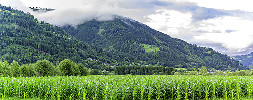 View of landscape near Kaprun during summer, Kaprun, Zell am See, Salzburg, Austria, Europe