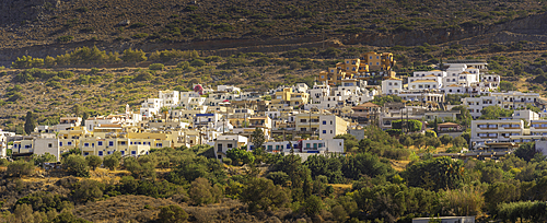 View of olive trees and Piskopiano village, Piskopiano, Crete, Greek Islands, Greece, Europe