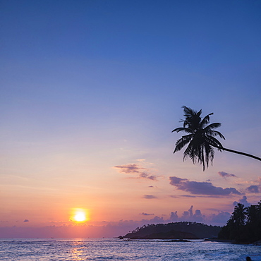 Palm tree at sunset on tropical Mirissa Beach, South Coast of Sri Lanka, Southern Province, Sri Lanka, Asia