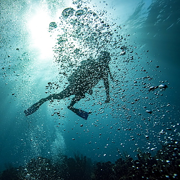 Scuba diver obscured by bubbles underwater at the dive site Blue Channel, Roatan Marine Park, Bay Islands Department, Honduras