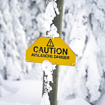 Yellow caution sign warning of avalanche danger, Thompson-Nicola P, British Columbia, Canada