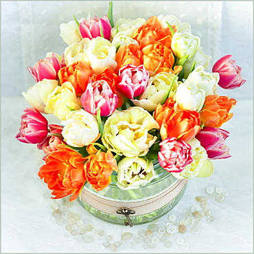 Bouquet of colourful flowers in a decorative container