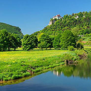 Schloss Werenwag, Hausen an der Donau, Upper Danube Nature Park, Danube Valley, Swabian Alps, Baden-Wurttemberg, Germany, Europe