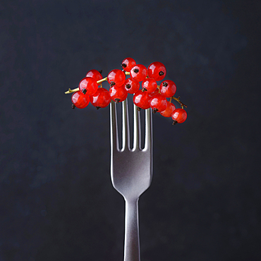 Red berries on fork