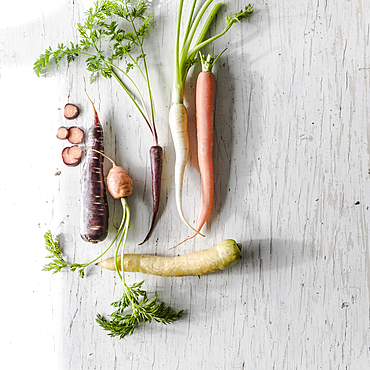 Variety of carrots on white wooden table