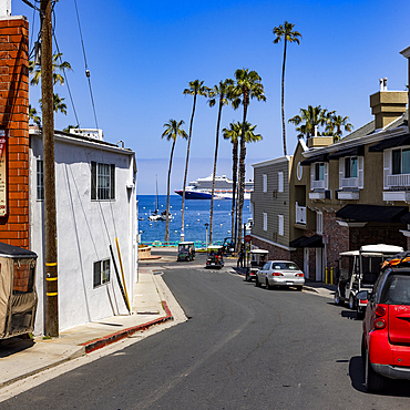 USA, California, Catalina Island, City of Avalon, View down street to Avalon Harbor where cruise ship is docked