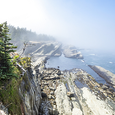 USA, Oregon, Coos Bay, High angle of rock formations along coast