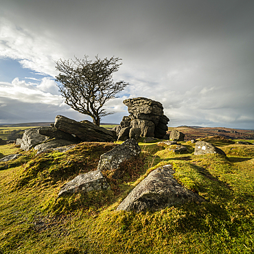 Evening light on Emsworthy Rocks, Dartmoor National Park, Devon, England, United Kingdom, Europe