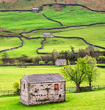 Hay barns, Muker, Swaledale, Yorkshire Dales, Yorkshire, England, United Kingdom, Europe