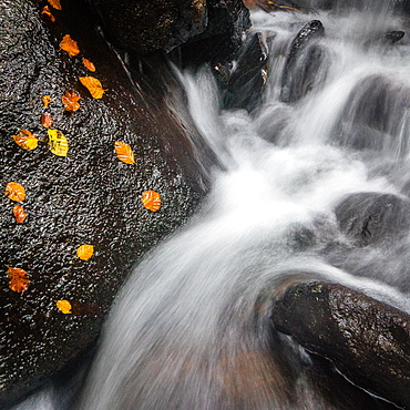 Waterfall, Hardcastle Crags, Calderdale, Yorkshire, England, United Kingdom, Europe