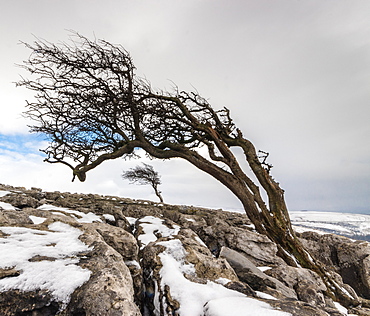 Twistleton Scar End in snow, Ingleton, Yorkshire Dales, Yorkshire, England, United Kingdom, Europe