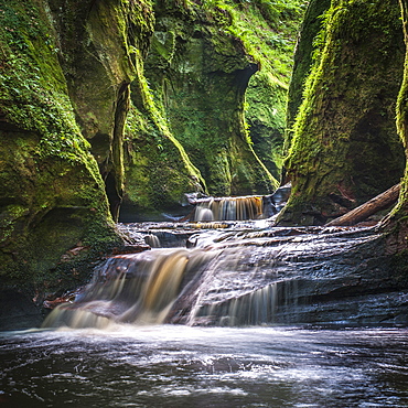 The gorge at Finnich Glen (Devils Pulpit) near Killearn, Stirlingshire, Scotland, United Kingdom, Europe