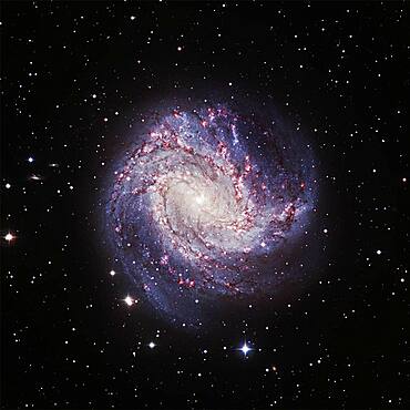 Southern Pinwheel Galaxy M83, Optical