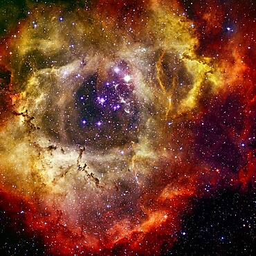 Blooming Rosette Nebula