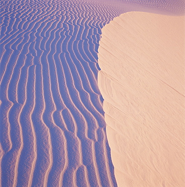 Dunes at dawn, White Sands National Park, New Mexico, United States of America (U.S.A.), North America