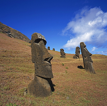 Moai statues carved from crater walls, on the southern slopes of Volcan Rano Raraku, the birthplace of the moai, Easter Island (Rapa Nui), UNESCO World Heritage Site, Chile, South America