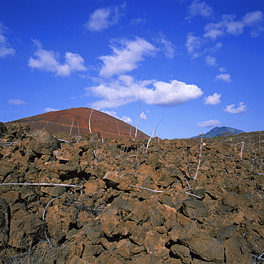 Rocks in a volcanic landscape on Ascension Island, mid Atlantic