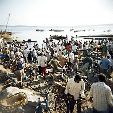 People waiting on beach for dhows to land fish, Stone Town, Zanzibar, Tanzania, East Africa, Africa