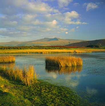 Brecon Beacons, Powys, South Wales, UK, Europe