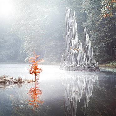 Rhododendron Park, Kromlau, Saxony, Germany, Europe