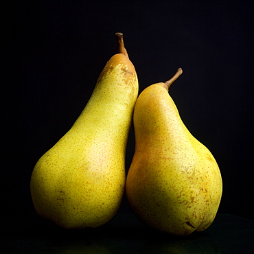 Two yellow pears on a black background