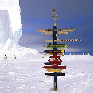 Emperor penguins (Aptenodytes forsteri) walking behind a German Signpost on the ice, Drescher Inlet Iceport, Queen Maud Land Coast, Weddell Sea, Antarctica