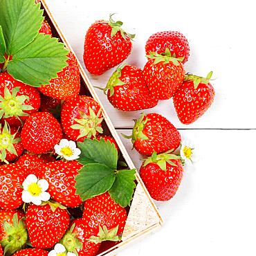 Strawberries berries fruits strawberry berry fruit text free space copyspace in box on wooden board square, Germany, Europe