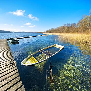 Clear sunny winter day at the Schaalsee, wooden jetty in the reeds with a rowing boat full of water, Schaalsee Biosphere Reserve, Mecklenburg-Western Pomerania, Germany, Europe