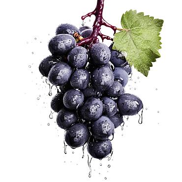 Ripe grapes hanging from a vine, AI generated