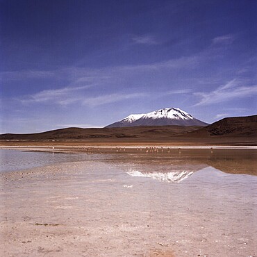 Atacama Desert Bolivia Plateau Flamingo Lagoon Mountains