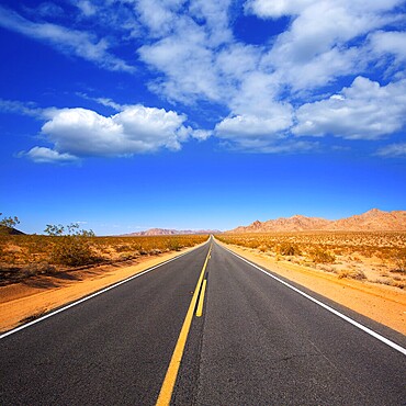 Mohave desert by Route 66 in California Yucca Valley USA