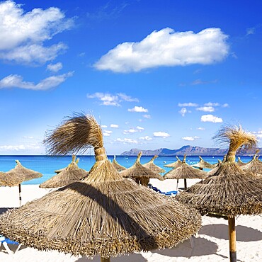 Mallorca Can Picafort beach in alcudia bay at Majorca Balearic islands of Spain