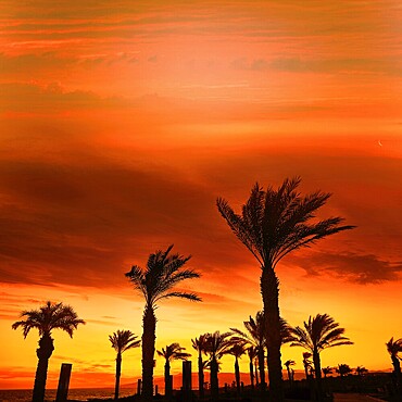 Almeria Cabo de Gata sunset in Retamar beach at Spain