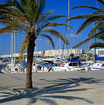 The marina, Yasmine Hammamet, Cap Bon, Tunisia, North Africa, Africa