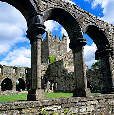 Ruins of Cistercian Jerpoint Abbey, Jerpoint, County Kilkenny, Leinster, Republic of Ireland, Europe