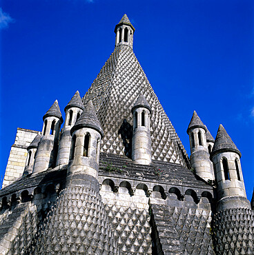 Kitchen chimneys, Fontevraud Abbey (Fontevraud-l'Abbaye), Loire Valley, Anjou, France, Europe