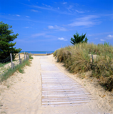 Beach on the west coast, Ile de Re, Poitou-Charentes, France, Europe