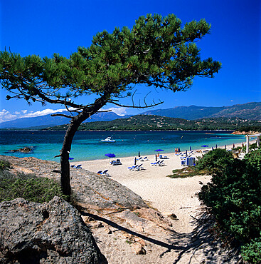 Beach view, Cala Rossa, South East Corsica, Corsica, France, Mediterranean, Europe